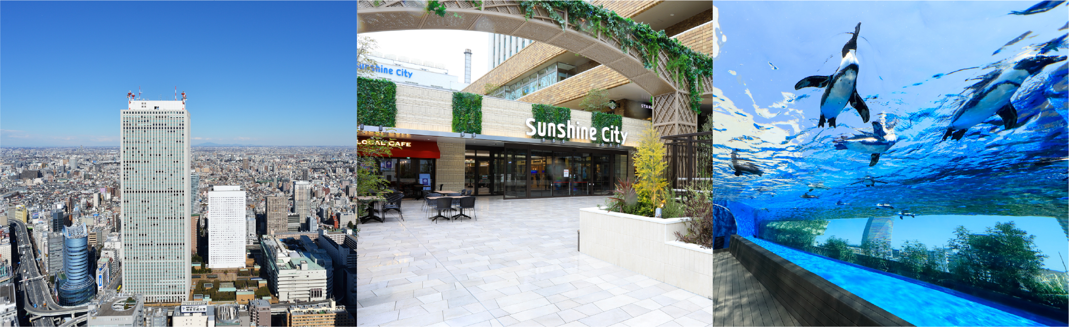 サンシャインシティ